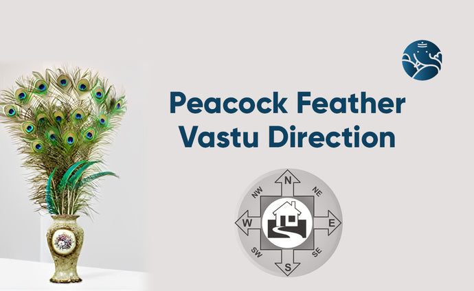 Peacock Feather Vastu Direction