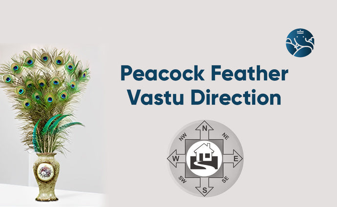 Peacock Feather Vastu Direction: Morpankh Vastu