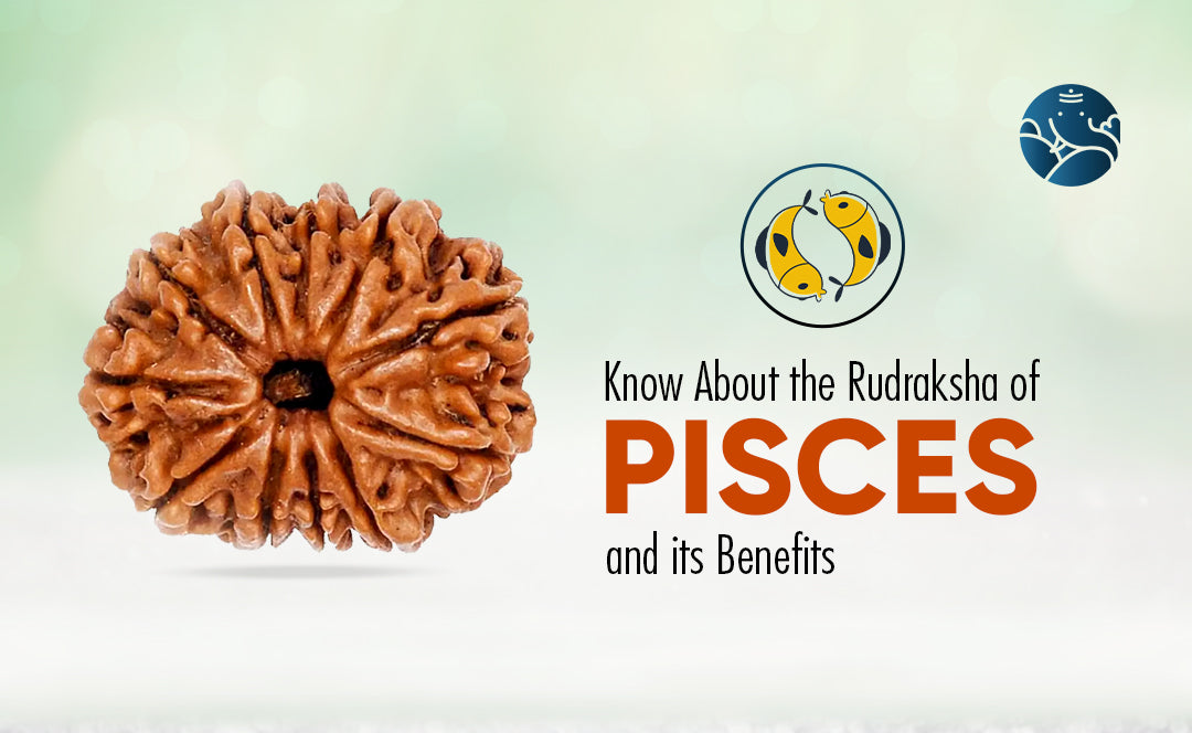 Know About the Rudraksha of Pisces and its Benefits