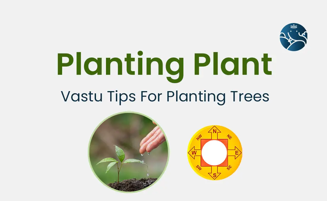 Planting Plant: Vastu Tips For Planting Trees