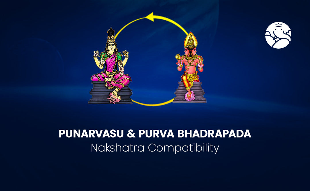Punarvasu and Purva Bhadrapada Nakshatra Compatibility