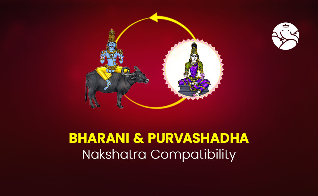 Bharani and Purvashadha Nakshatra Compatibility