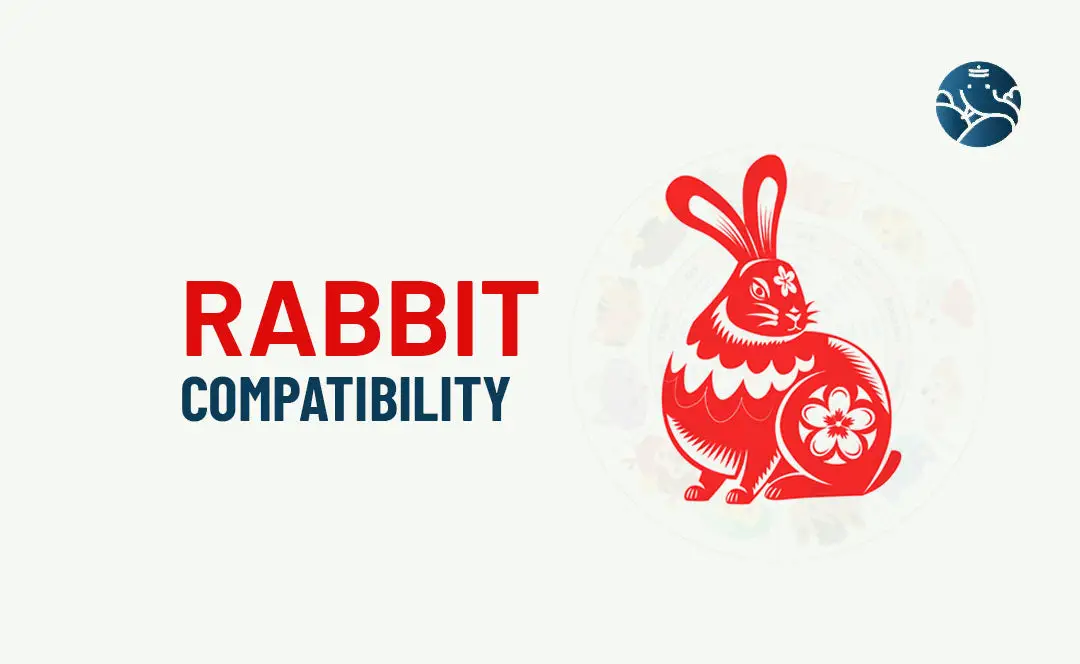 Rabbit Compatibility - Rabbit Best Match