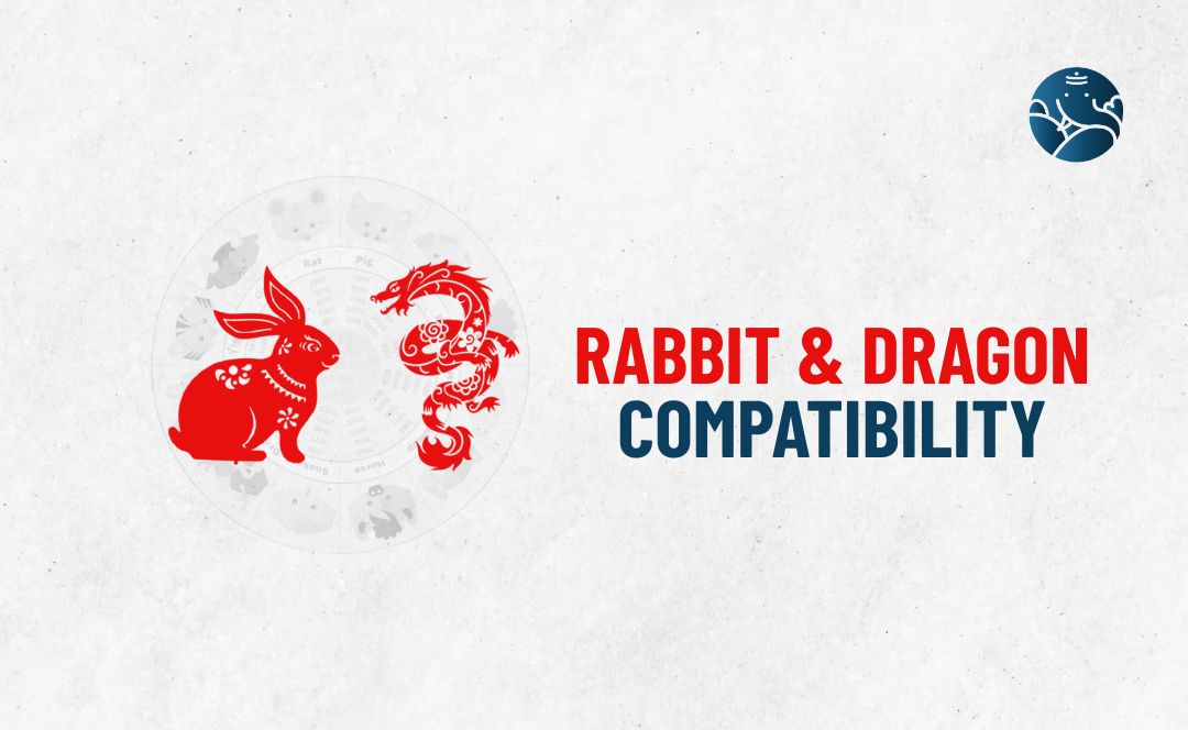 Rabbit and Dragon Compatibility - Rabbit Dragon Compatibility