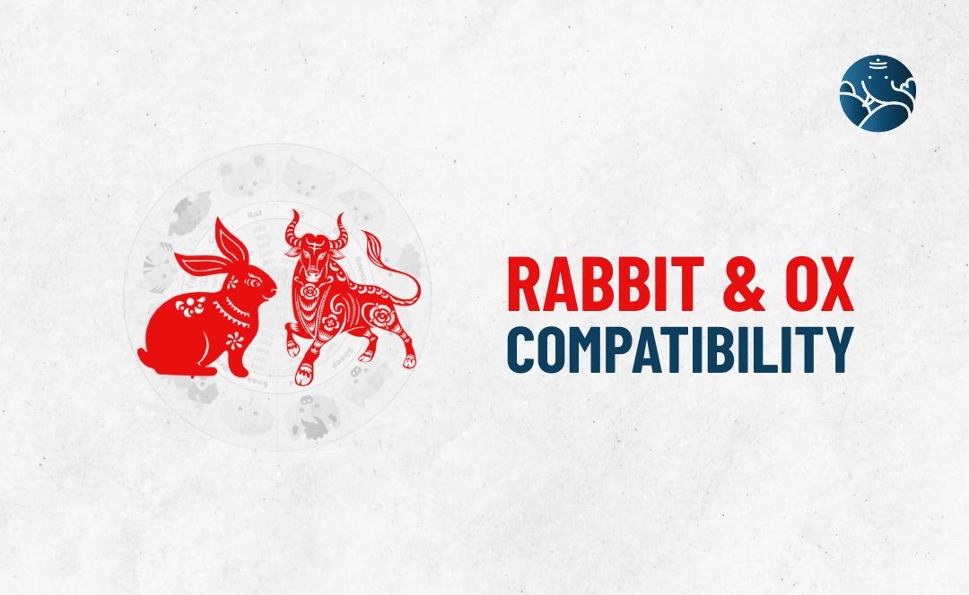 Rabbit and Ox Compatibility - Rabbit Ox compatibility