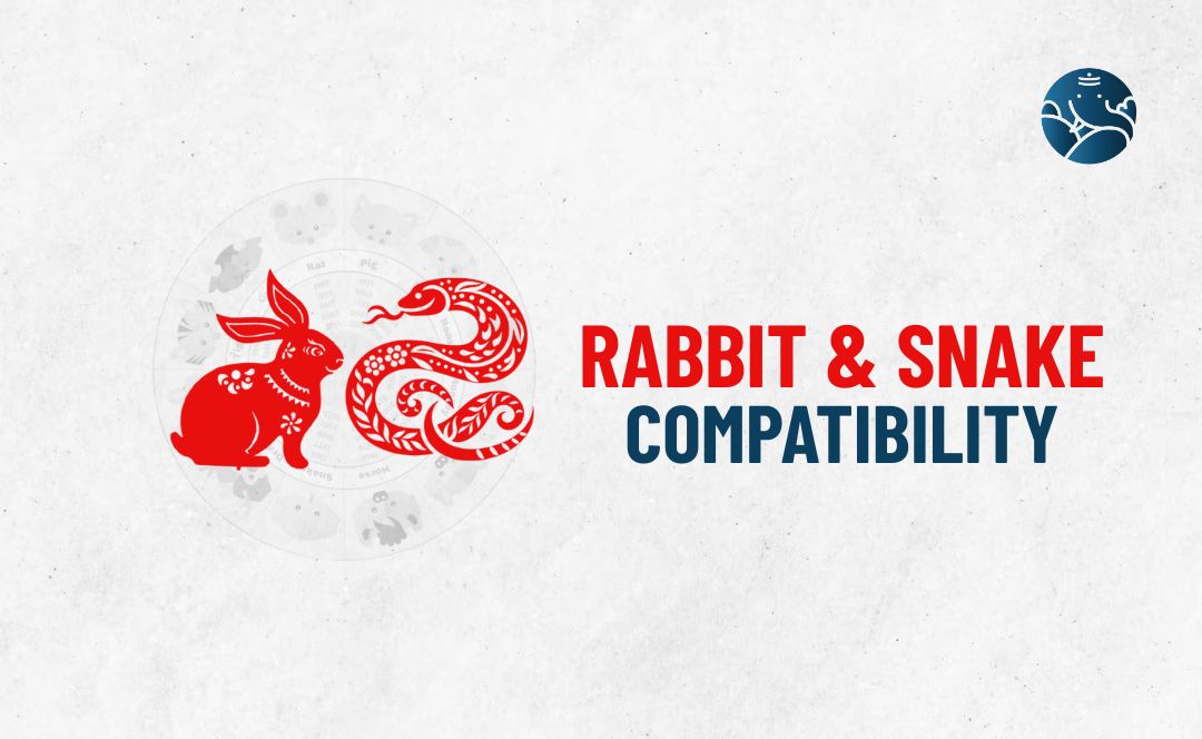 Rabbit and Snake Compatibility - Rabbit Snake Compatibility