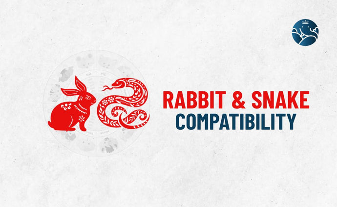 Rabbit and Snake Compatibility - Rabbit Snake Compatibility