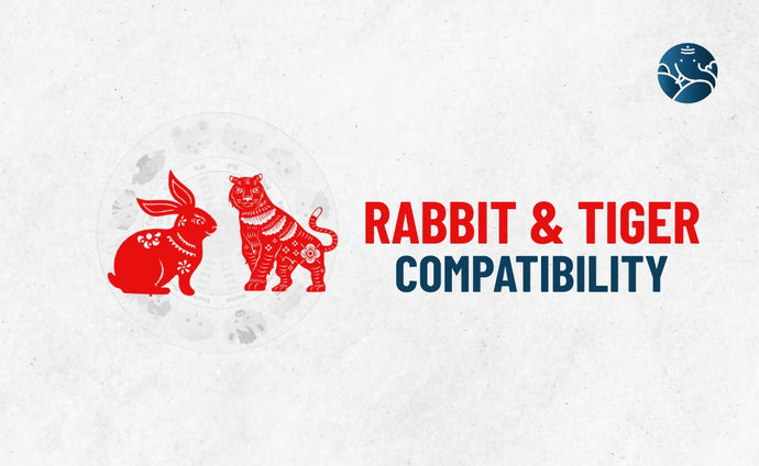 Rabbit and Tiger Compatibility - Rabbit Tiger compatibility