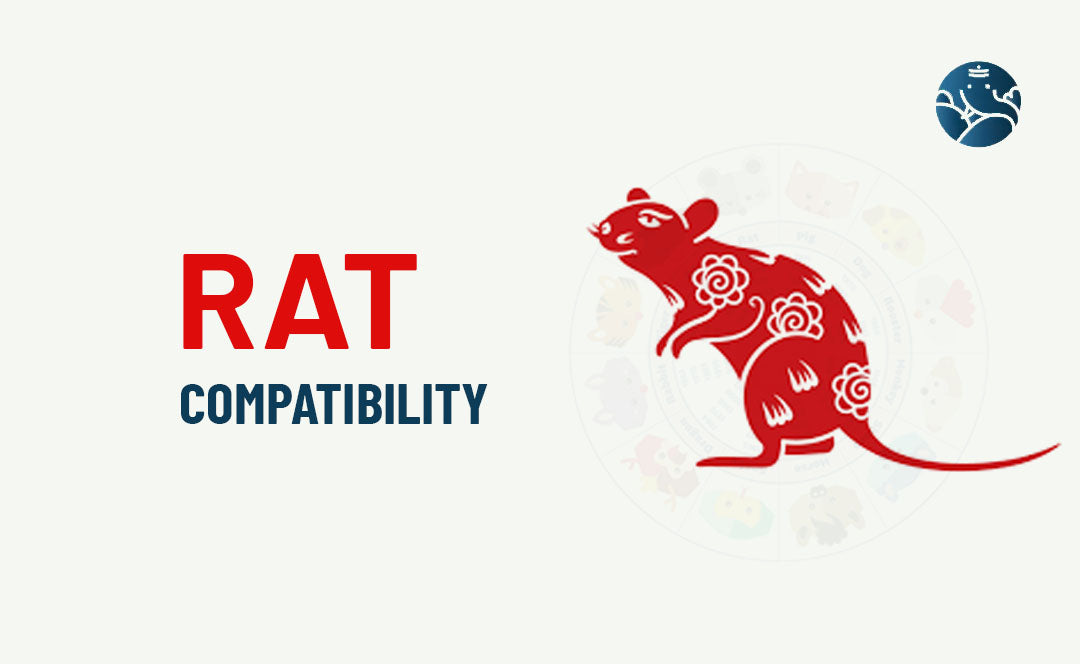 Rat Compatibility - Rat Best Match