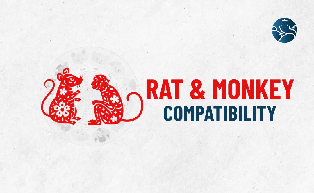 Rat and Monkey Compatibility - Rat Monkey compatibility
