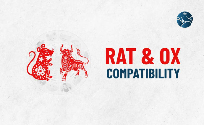 Rat and Ox Compatibility - Rat Ox Compatibility
