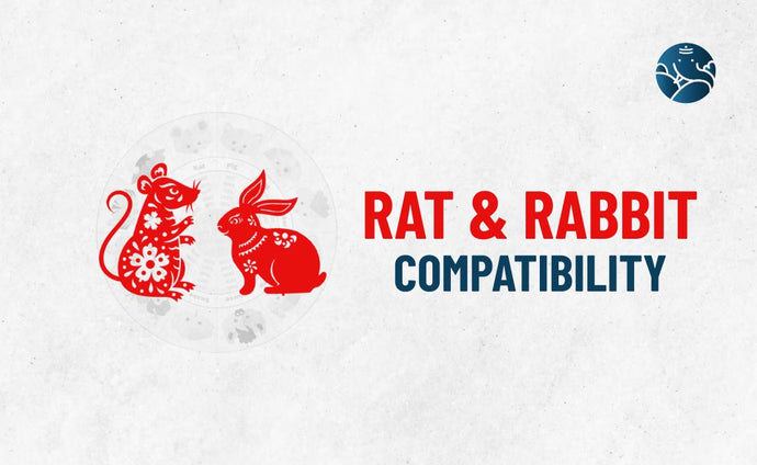 Rat and Rabbit Compatibility - Rat Rabbit compatibility