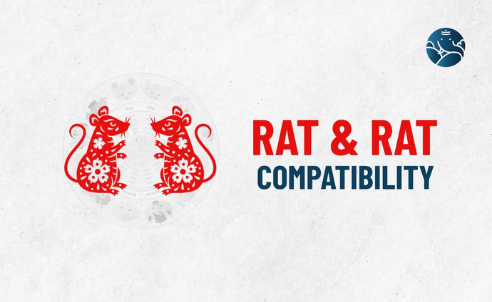 Rat and Rat Compatibility - Rat Rat Compatibility