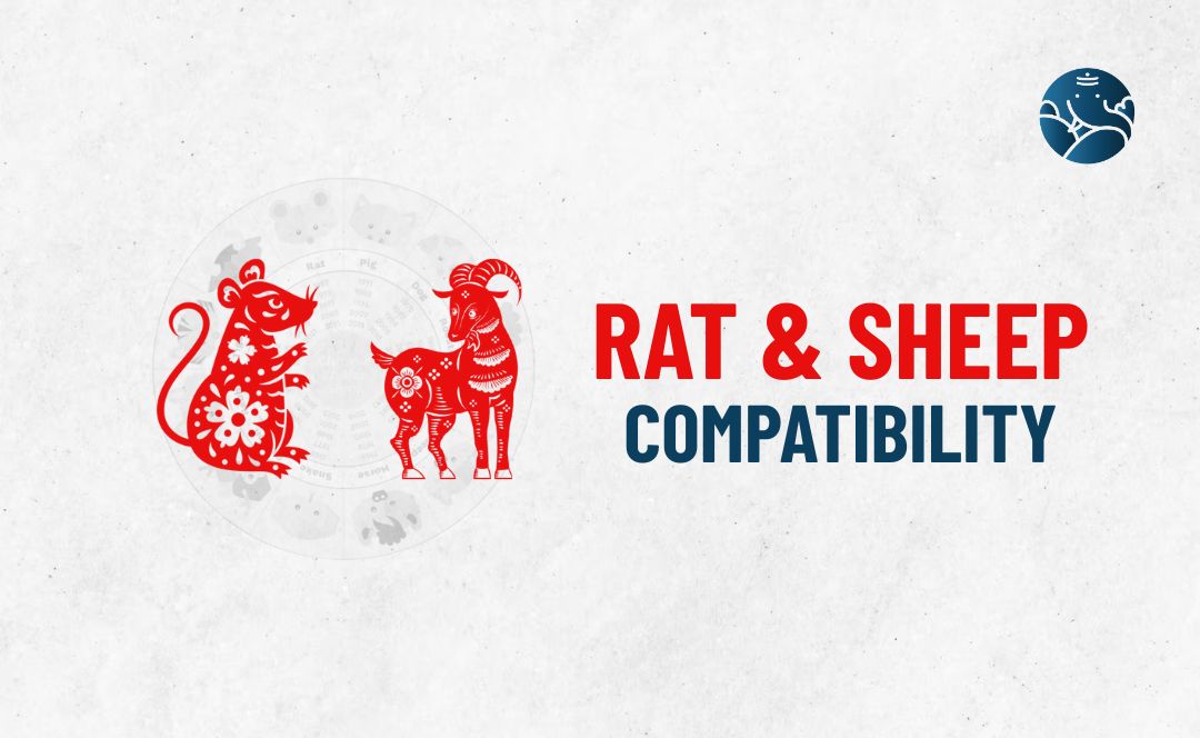Rat and Sheep Compatibility - Rat Sheep compatibility