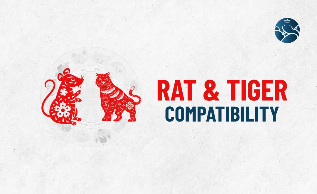 Rat and Tiger Compatibility - Rat Tiger compatibility