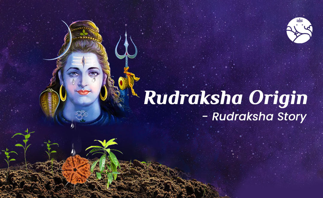 Rudraksha Origin - Rudraksha Story