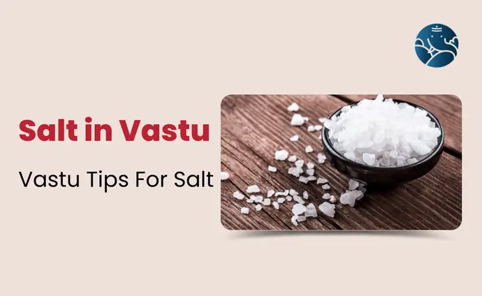 Salt In Vastu: Vastu Tips For Salt