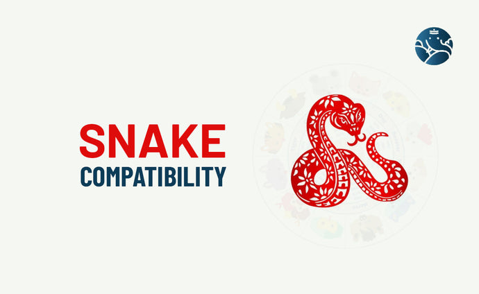 Snake Compatibility - Snake Best Match