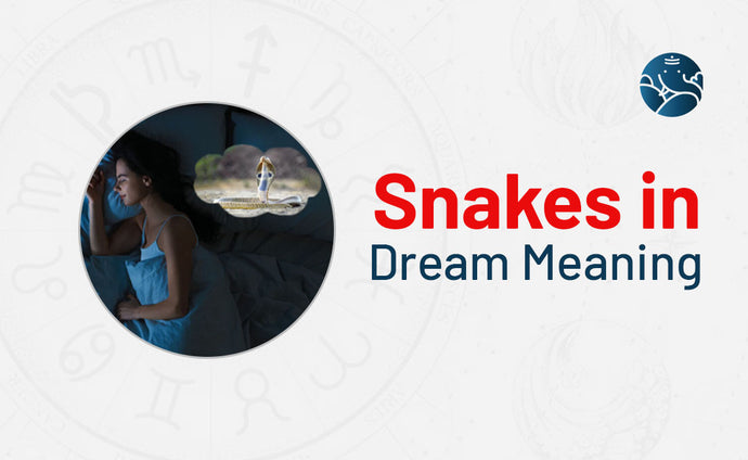 Snakes In Dream Meaning