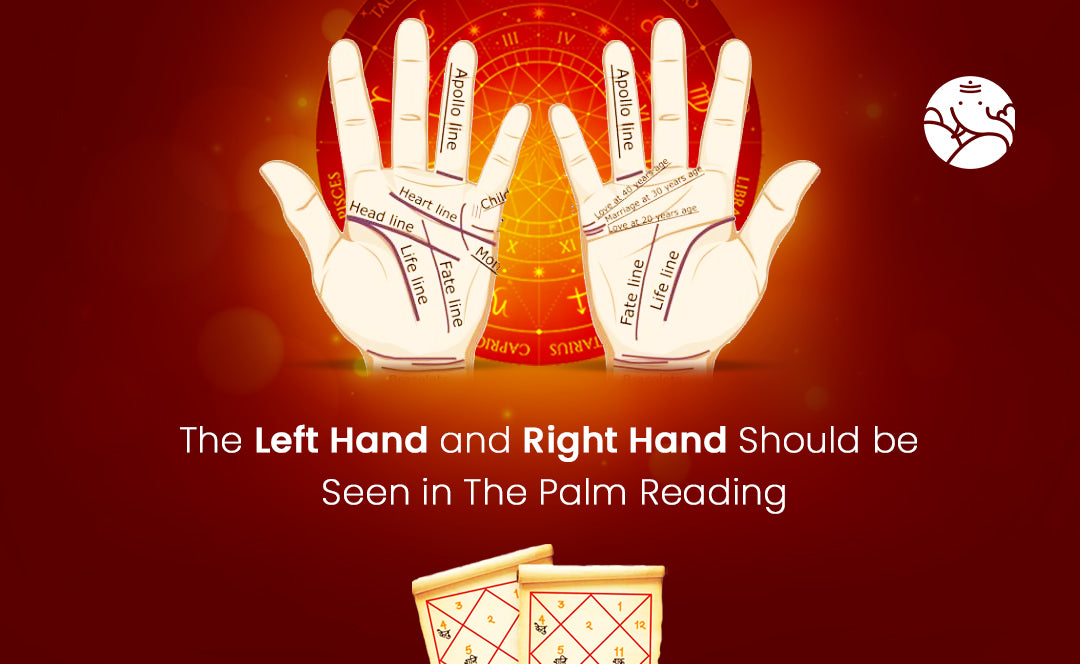 The Left Hand and Right Hand Should be Seen in The Palm Reading