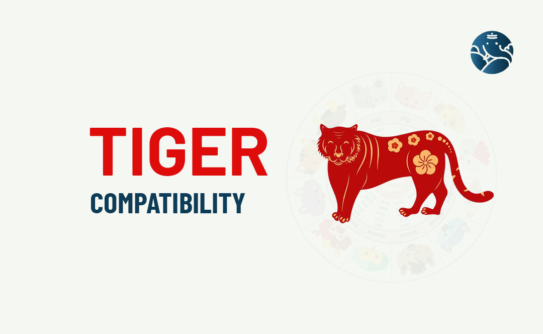 Tiger Compatibility - Tiger Best Match