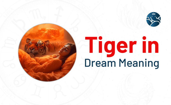 Tiger Dream Meaning