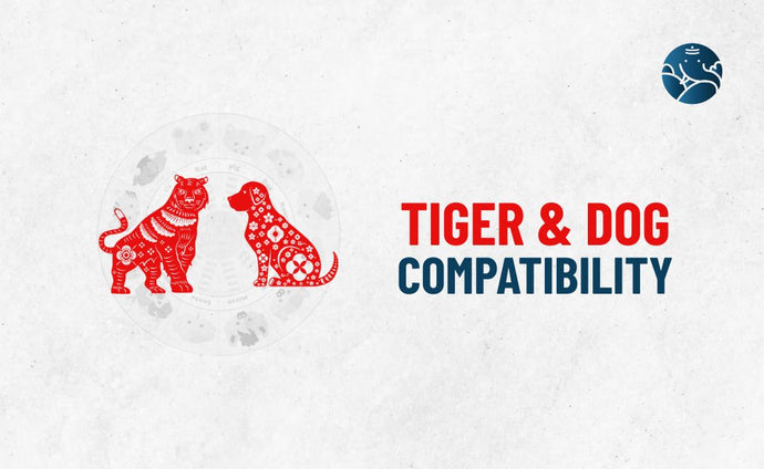 Tiger and Dog Compatibility - Tiger Dog Compatibility