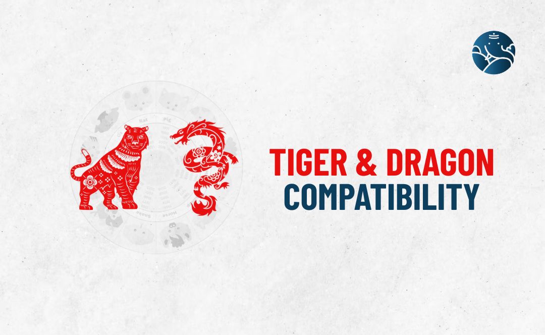 Tiger and Dragon Compatibility - Tiger Dragon compatibility