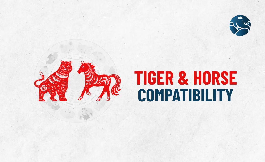 Tiger and Horse Compatibility - Tiger Horse compatibility