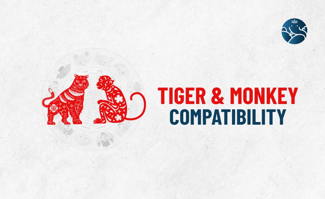Tiger and Monkey Compatibility - Tiger Monkey compatibility