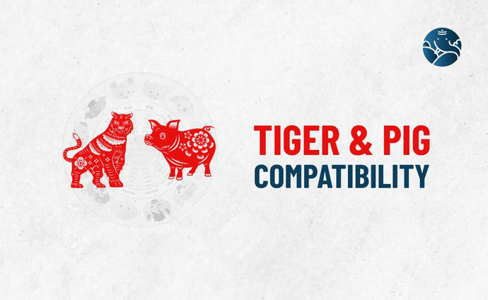 Tiger and Pig Compatibility - Tiger Pig Compatibility