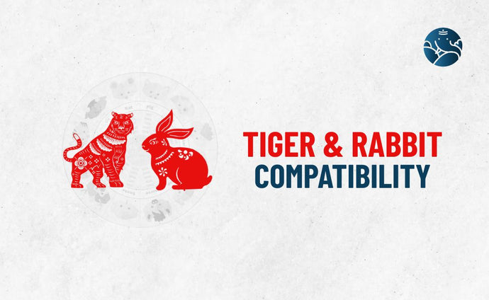 Tiger and Rabbit Compatibility - Tiger Rabbit compatibility