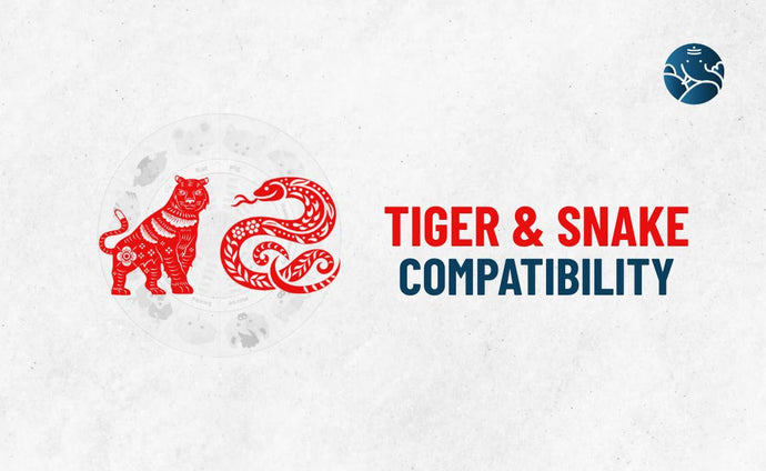 Tiger and Snake Compatibility - Tiger Snake compatibility