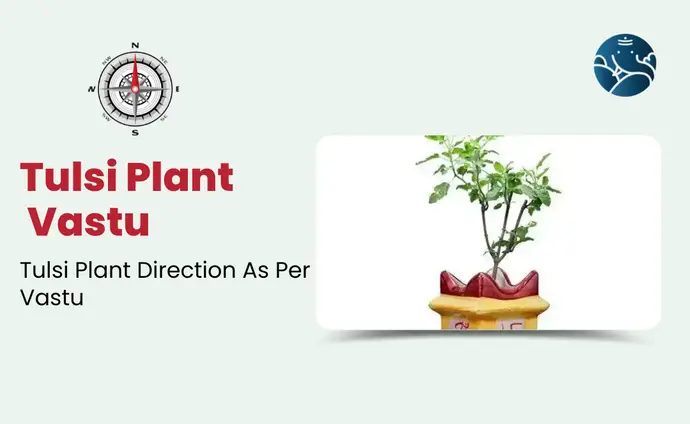 Tulsi Plant Vastu: Tulsi Plant Direction As Per Vastu