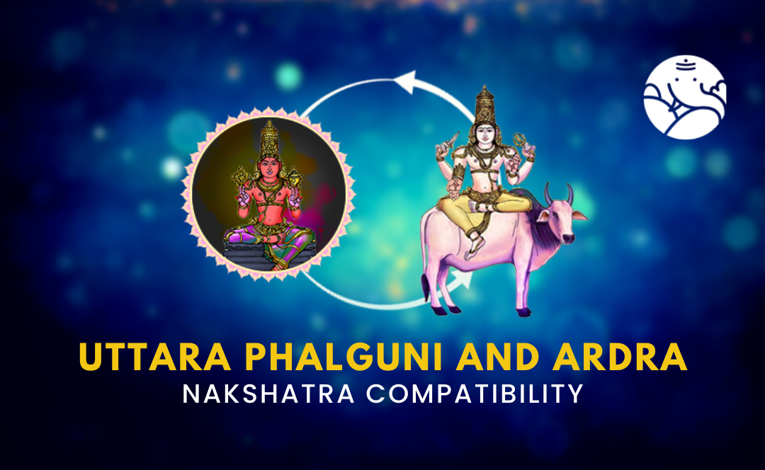 Eutetrapha Gui Uttara Phalguni and Ardra Nakshatra Compatibility