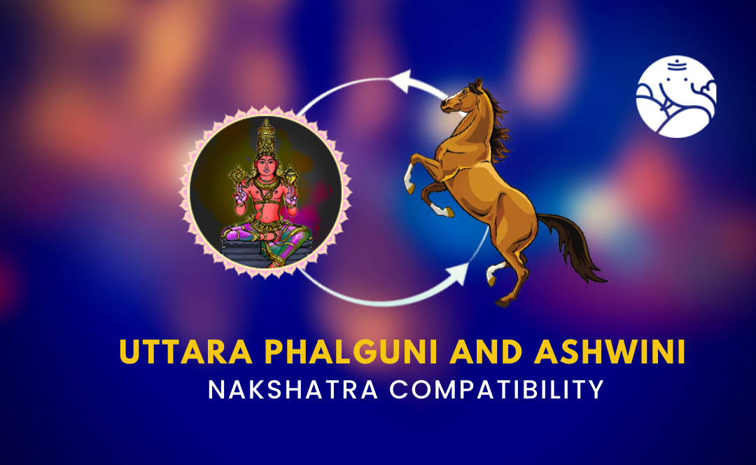 Eutetrapha Gui Uttara Phalguni and Ashwini Nakshatra Compatibility