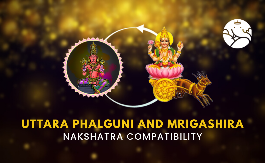 Eutetrapha Gui Uttara Phalguni and Mrigashira Nakshatra Compatibility