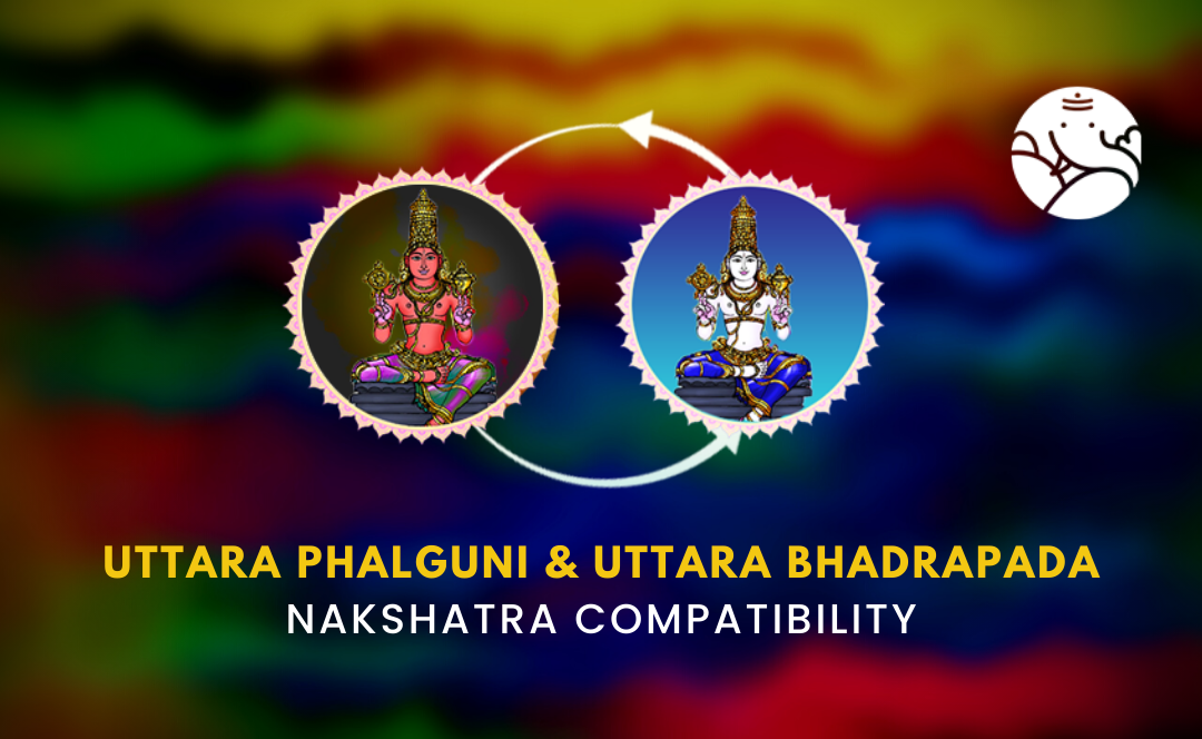 Eutetrapha Gui Uttara Phalguni and Uttara Bhadrapada Nakshatra Compatibility