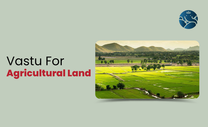Vastu for Agricultural Land: Agriculture Land Vastu