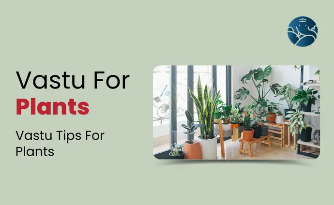 Vastu For Plants: Vastu Tips For Plants