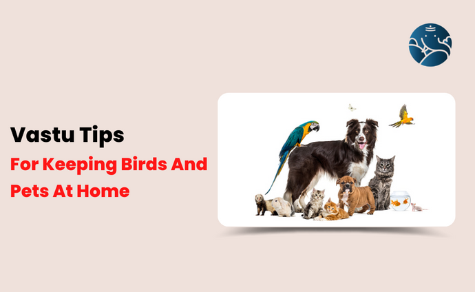 Vastu Tips For Keeping Birds And Pets At Home