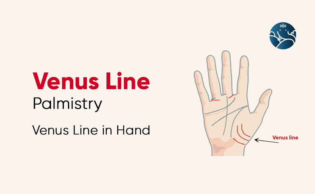 Venus Line Palmistry: Venus Line in Hand