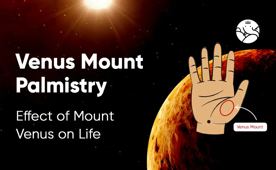 Venus Mount Palmistry: Effect of Mount Venus on Life