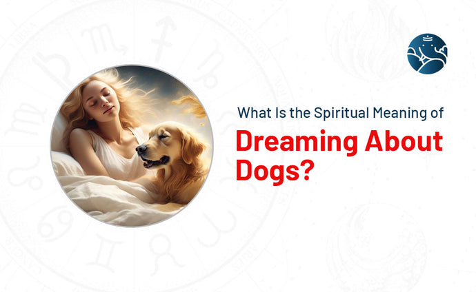 What Is The Spiritual Meaning Of Dreaming About Dogs?