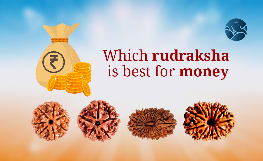 Which Rudraksha is Best for Money