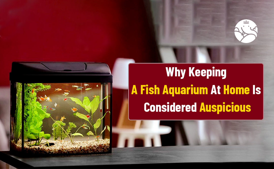 Why Keeping A Fish Aquarium At Home Is Considered Auspicious