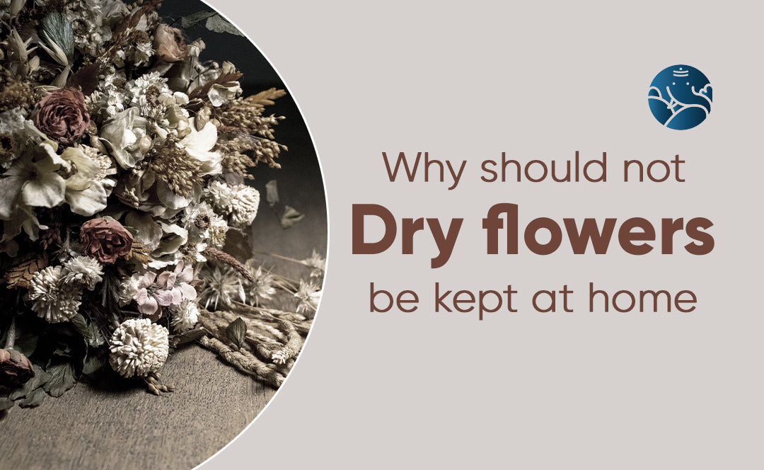 Why Should Not Dry Flowers Be Kept At Home