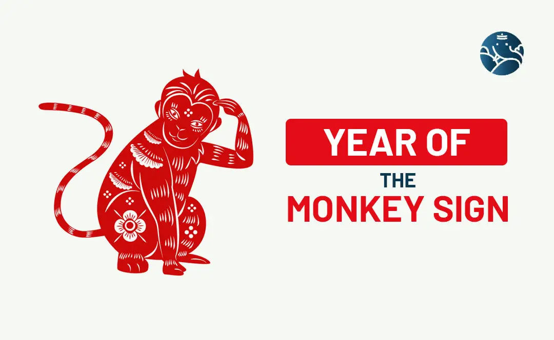 Year Of The Monkey Sign - Monkey Astrology