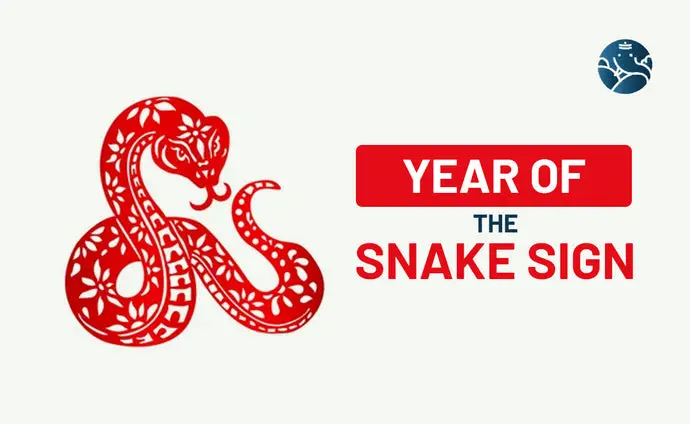 Year Of The Snake Sign - Snake Astrology