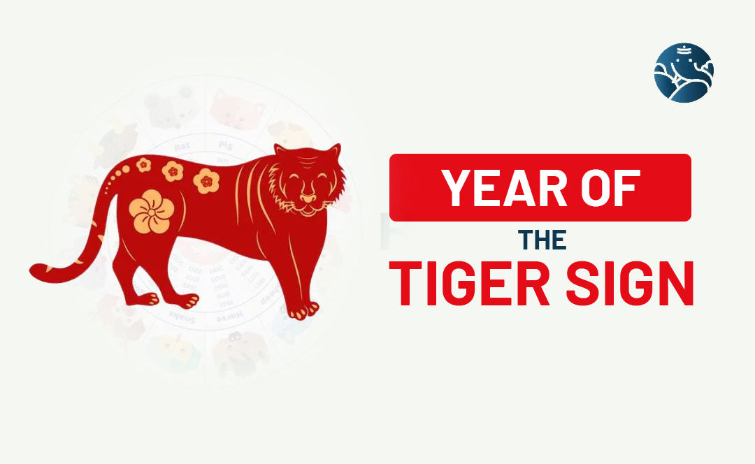 Tiger meaning in chinese zodiac 60 photos - Astrologytoyou.com